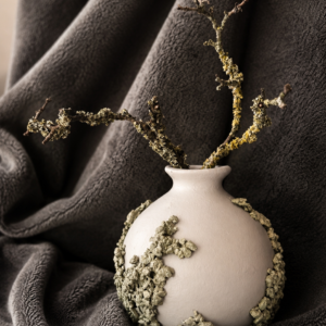 Lichen Miniature Vase