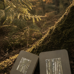 Misty Forest Coasters Set of Two