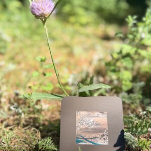 Woodland Beach Coasters Set of Two